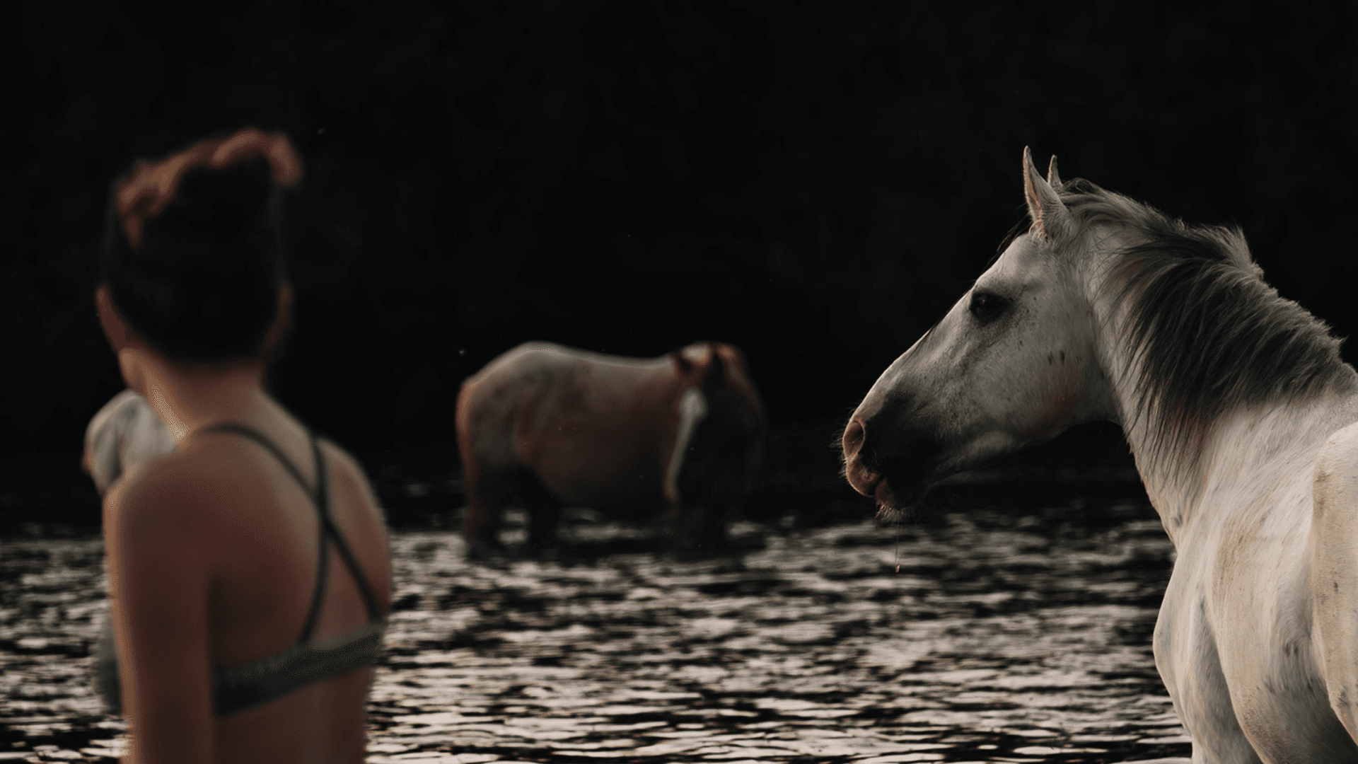 Photo Credit: Through The Shadowlands, Project Lead: Anastasia Hirst